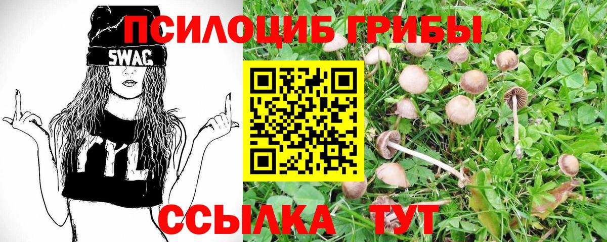 Галлюциногенные грибы ЛСД  Вход с VPN  Буйнакск  Галлюциногенные грибы мицелий 
