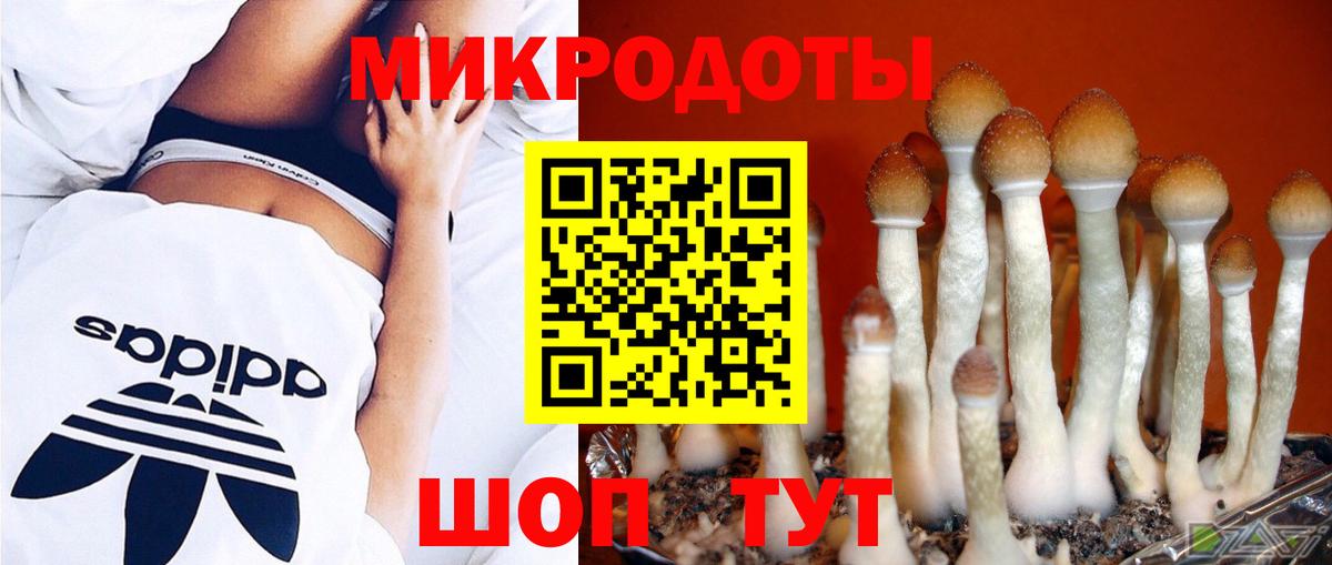Галлюциногенные грибы Magic Shrooms Буйнакск